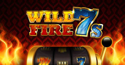 Spin Shake wild fire 7